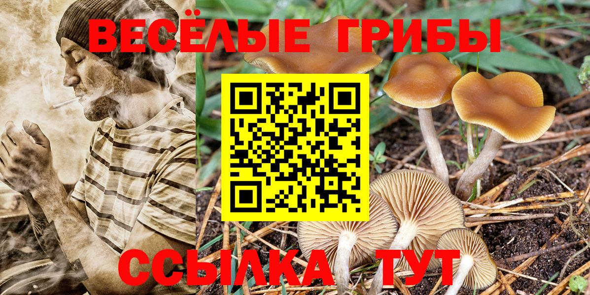 Коммунар  Псилоцибиновые грибы мухоморы  Псилоцибиновые грибы GOLDEN TEACHER  Вход с VPN 