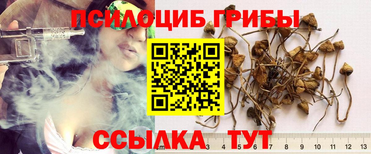 Галлюциногенные грибы Magic Shrooms Коммунар